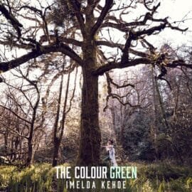 The Colour Green, by Imelda Kehoe