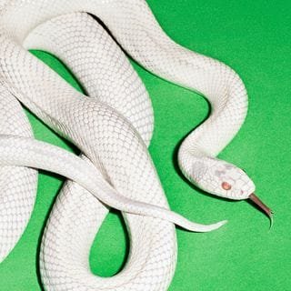 private music cover art