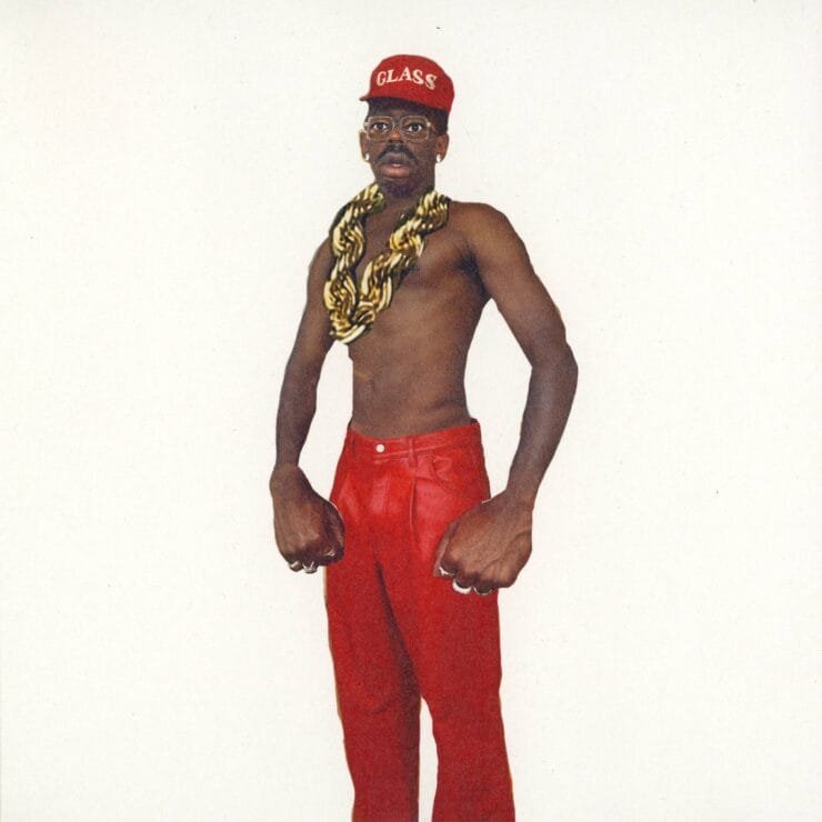 DON'T TAP THE GLASS album cover