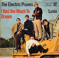 Nuggets: "I Had Too Much to Dream Last Night", by The Electric Prunes