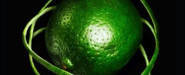 Double Infinity album cover