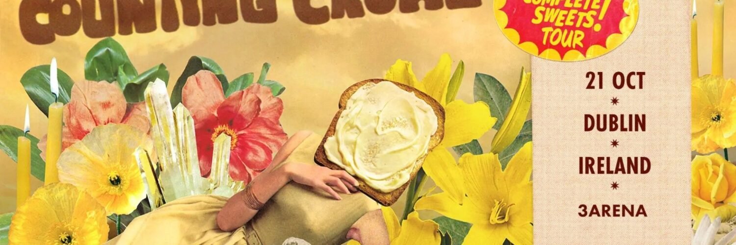 counting crows live in dublin