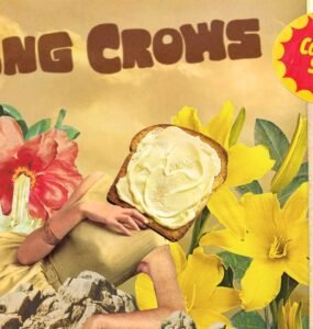 counting crows live in dublin