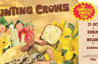 counting crows live in dublin