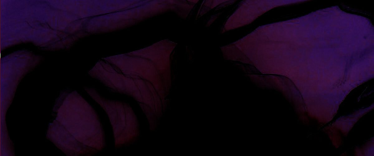 all the stars will fall cover art