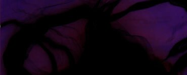 all the stars will fall cover art