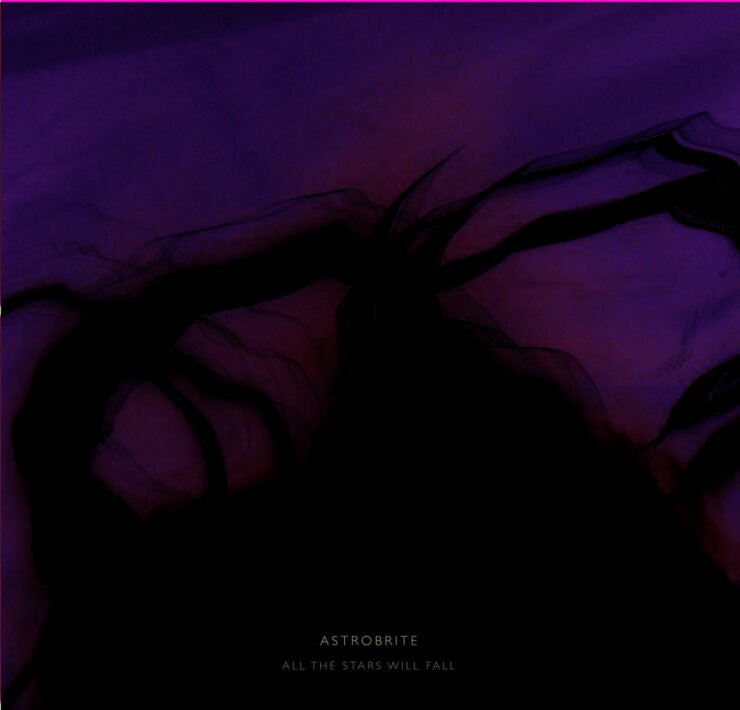 all the stars will fall cover art