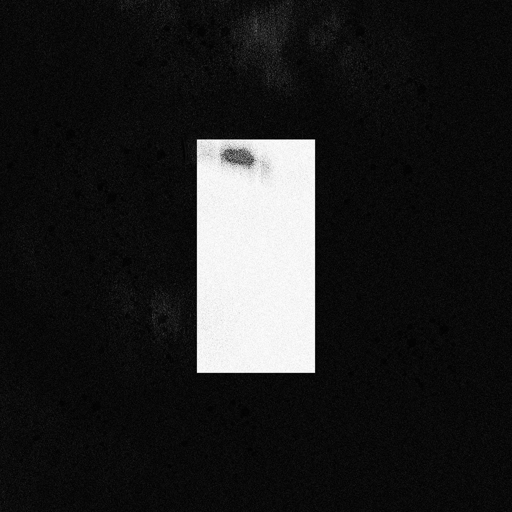 "Glitter", by Naked Lung