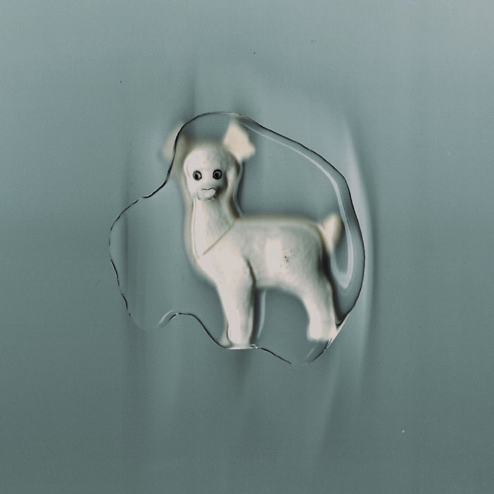 "I wait, I sink", by The Healing Power of Horses