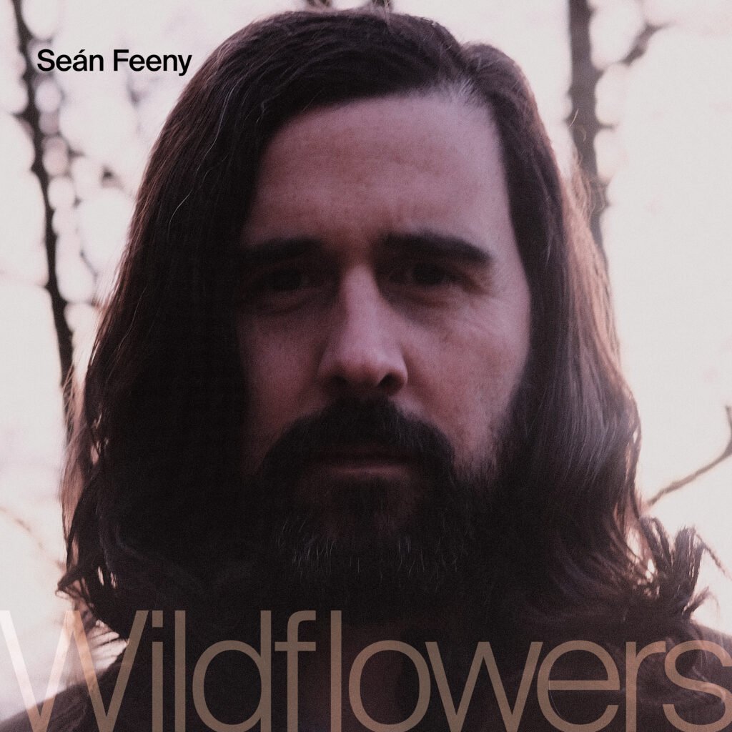 “Wildflowers”, by Seán Feeny